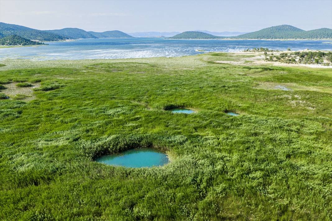 Konya’nın en büyük gölündeki büyüleyici kareler, felaketin işareti 8